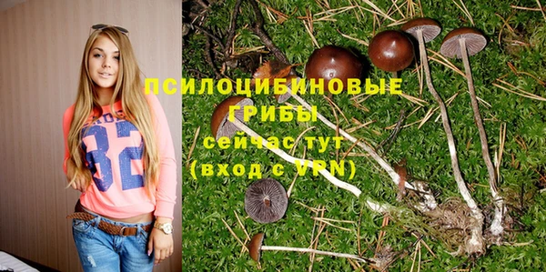 MESCALINE Абинск