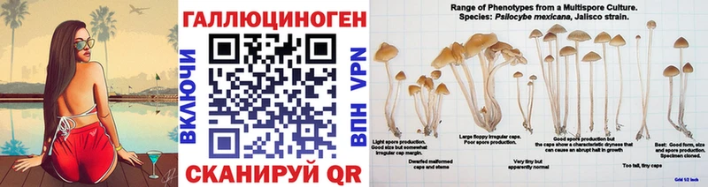 Псилоцибиновые грибы мухоморы  МЕГА как войти  Шилка  купить наркотик 